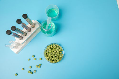 嫩豌豆食品安全農業科技食品培育攝影圖 插畫 下載至來源處